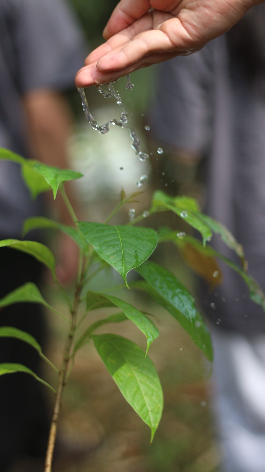 Dari Filantropi ke Aksi Inti : Transformasi CSR Lingkungan Menuju Pengurangan Jejak Karbon yang Terukur