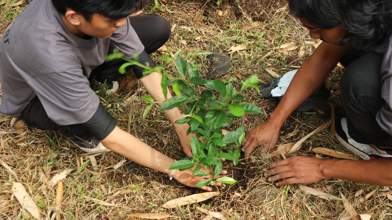 Mengapa Donasi Pangan dan Program Gizi Belum Cukup Tanpa Mengatasi 'Food Waste' dan Rantai Pendingin